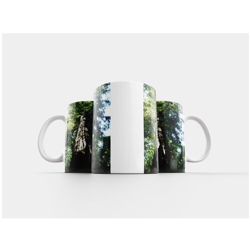 фото Кружка "секвойя, дерево, природа" 320 мл lotsprints