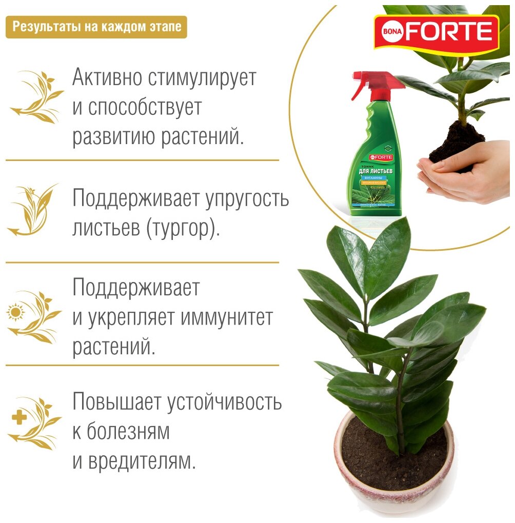 Тоник Bona Forte для листьев 0.5 л