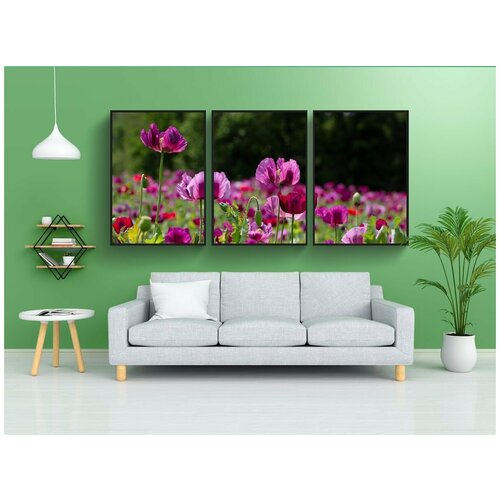 фото Набор модулных постеров для интерьера "мак, фиолетовый, цветок мака" 60x90 см. в тубусе, без рамки lotsprints