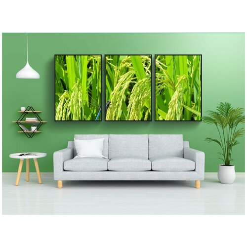 фото Набор модулных постеров для интерьера "рис, летом, свежий" 60x90 см. в тубусе, без рамки lotsprints