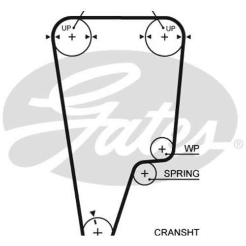 фото Ремень грм gates 5505xs