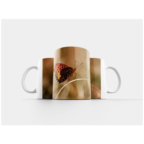 фото Кружка "бабочка, жук, насекомое" 320 мл lotsprints