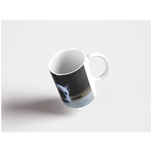 фото Кружка "котенок, китти, шерсть" 320 мл lotsprints