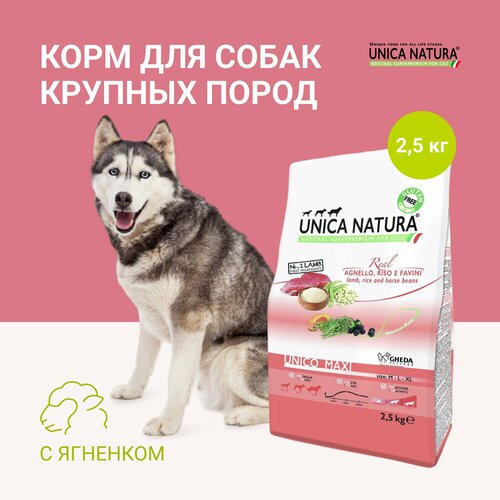Сухой корм для собак крупных пород Unica Maxi с ягненком, 2,5 кг.