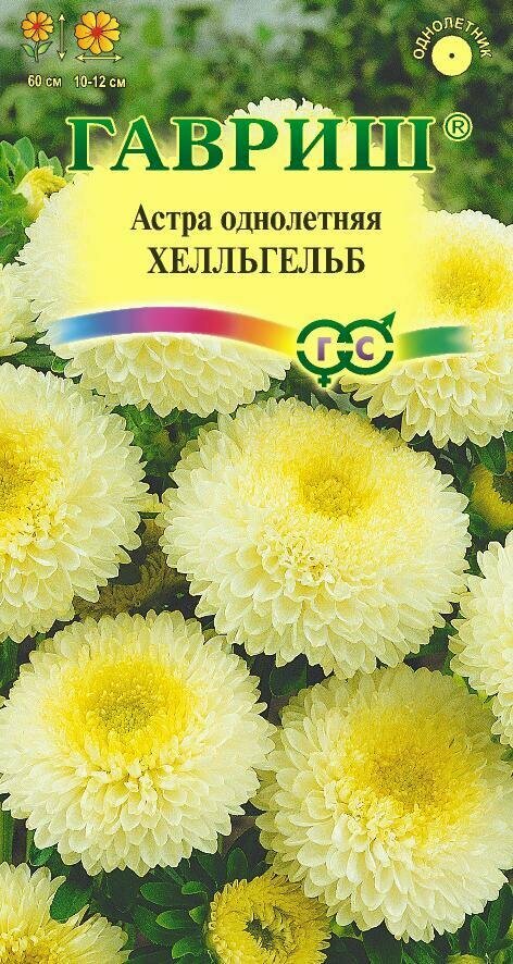 Семена Астра Хелльгельб 03г Одн 60см (Гавриш)