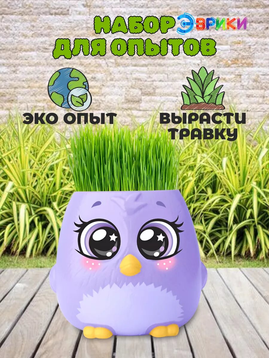 Набор для опытов, выращиваем травку