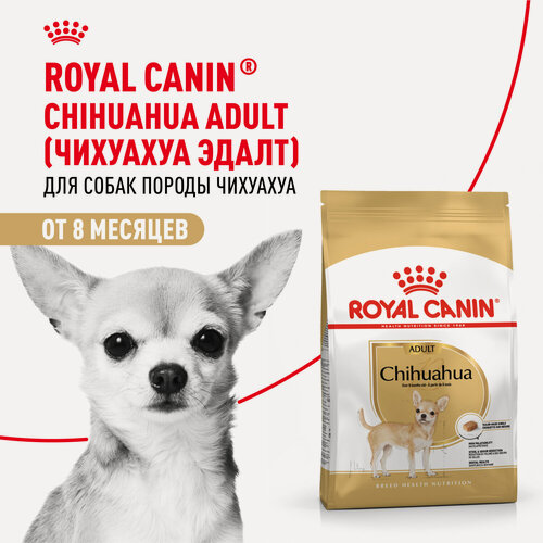 Изображение товара Royal Canin Chihuahua Adult Сухой корм для собак породы Чихуахуа, 1,5 кг