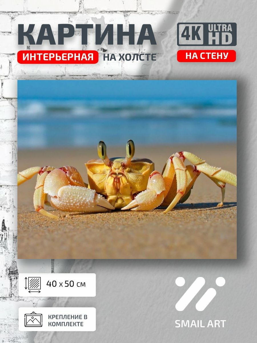 Картина на холсте интерьерная 40 на 50 на стену Песке Mood для офиса атмосфера интерьер