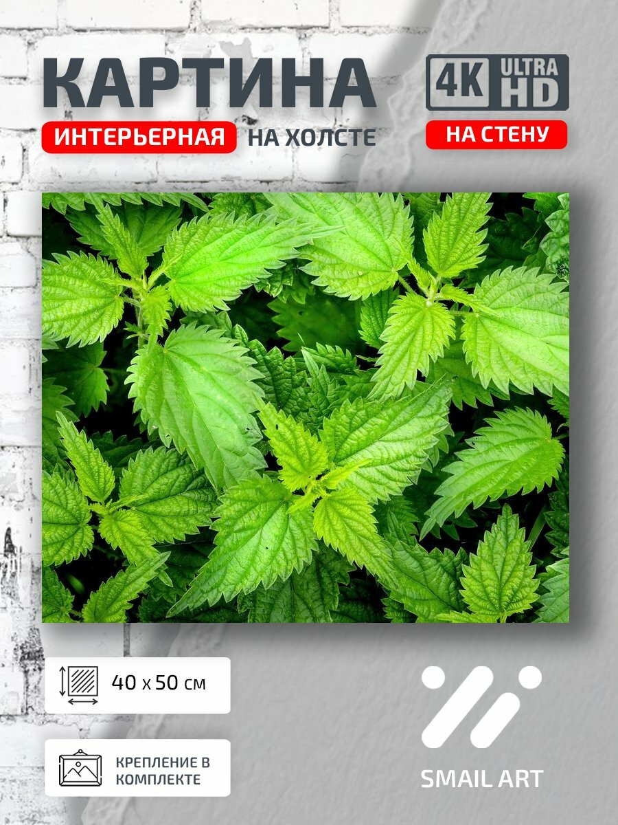 Картина на холсте интерьерная 40 на 50 на стену Растение Landscape для спальни пейзаж декор