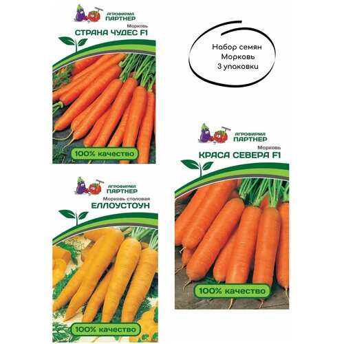 Семена морковь,3 вида: краса севера F1 (0,5Г), страна чудес F1 (1Г), столовая еллоустоун (0,5Г)/ агрофирма партнер/