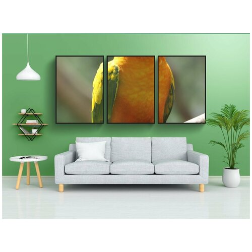 фото Набор модулных постеров для интерьера "птица, желтый, яркий" 60x90 см. в тубусе, без рамки lotsprints