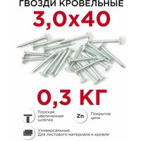 Гвозди кровельные (толевые) Профикреп оцинкованные 3 х 40 мм, 0,3 кг