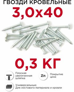 Гвозди кровельные (толевые) Профикреп оцинкованные 3 х 40 мм, 0,3 кг