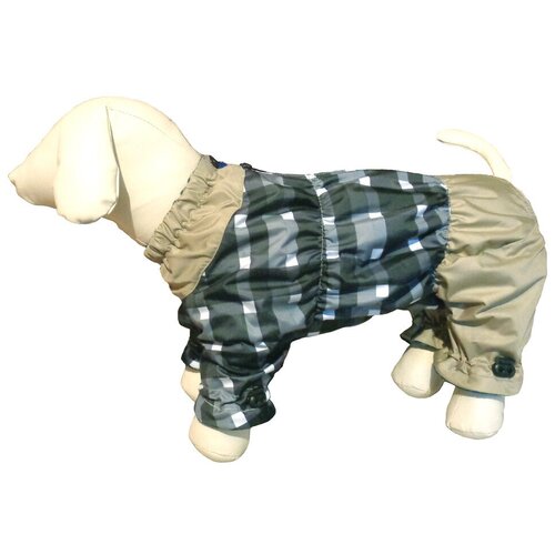 Комбинезон для собак на мальчика, мопс.