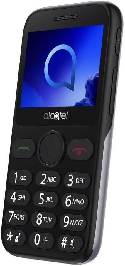 Alcatel 2019G, 1 micro SIM, серебристый - фотография № 5