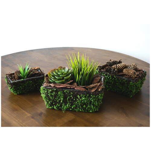 Кашпо Lemar, зеленый лес, 10 см х 19 см х 24 см, 3 шт