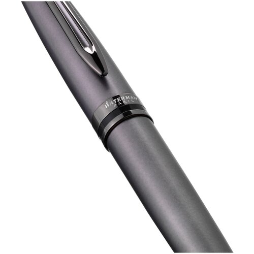 Waterman Expert DeLuxe (2119256) Metallic Silver RT M