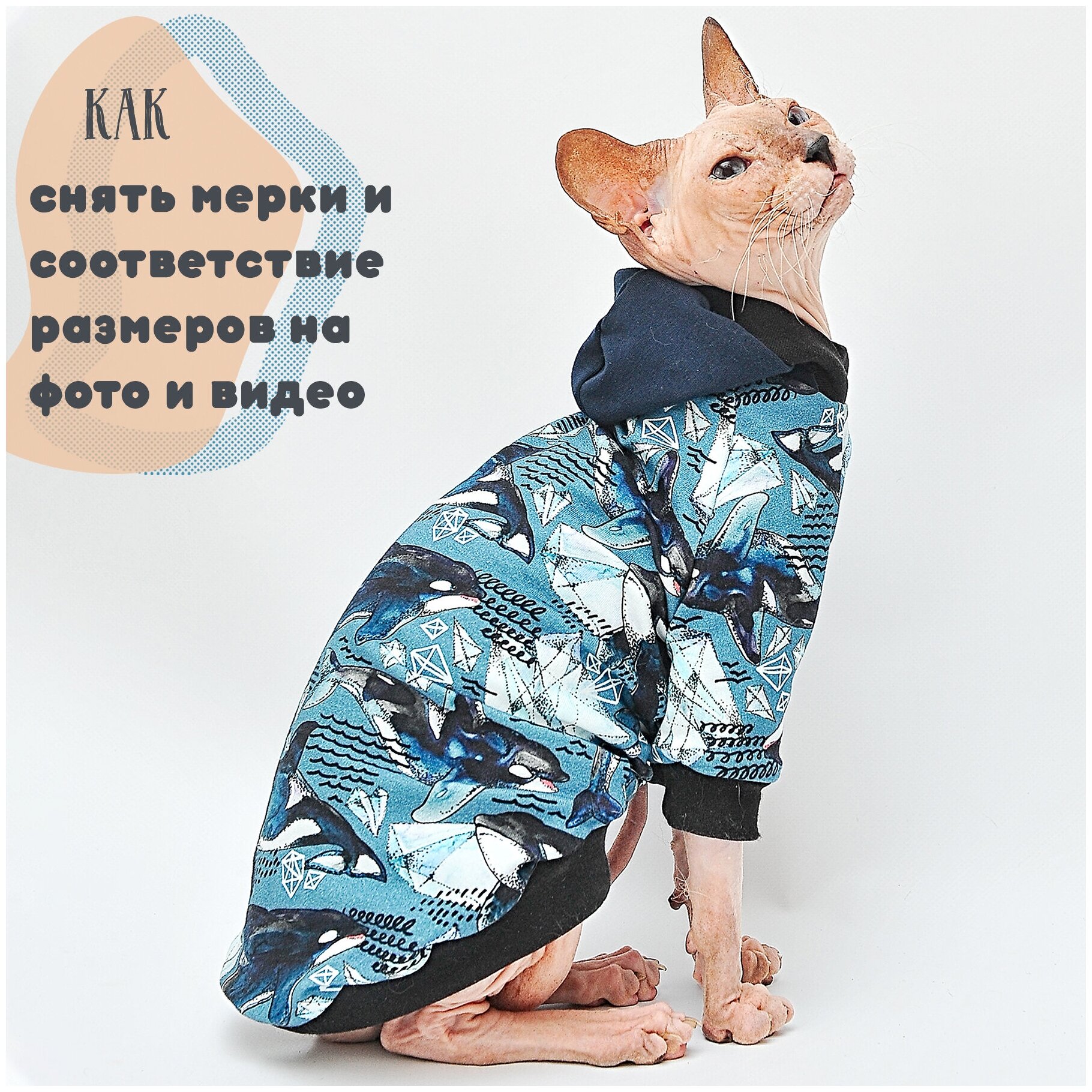 Одежда для кошек Элегантный Кот, толстовка Озорные Косатки , размер S - фотография № 9