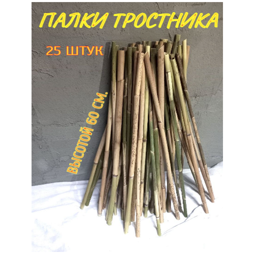 Природный материал 25 шт. 55-60 см. палки колышки для декора. Держатель садовый, опора для растений.