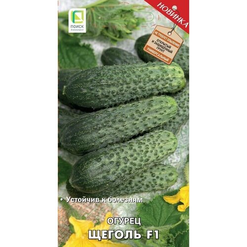 Семена овощей Поиск огурец Щеголь F1 12 шт.