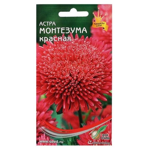 Семена цветов Астра Монтезума, красная, 100 шт семена астра монтезума красная 100шт