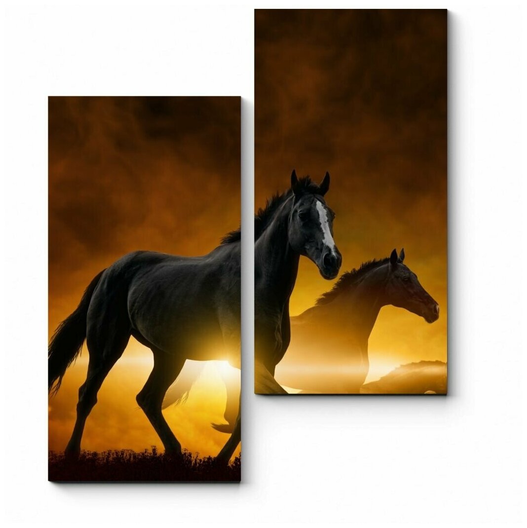 Модульная картина Бегущие лошади на фоне закатных облаков 40x50