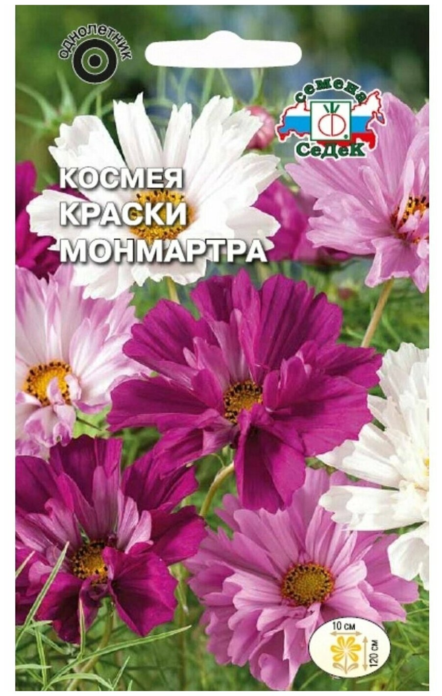 Космея Краски Монмартра СеДек - фото №1