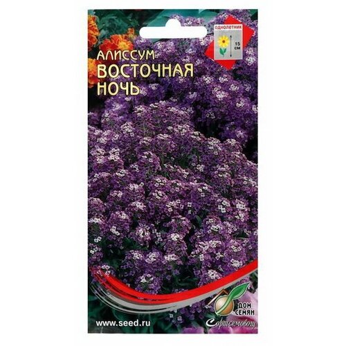 Семена цветов Алиссум Восточная ночь, 70шт