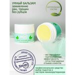 Smart Master (Смарт Мастер) Умный Бальзам для восстановления кожи Smart Healing Balm Forte, 15мл - изображение