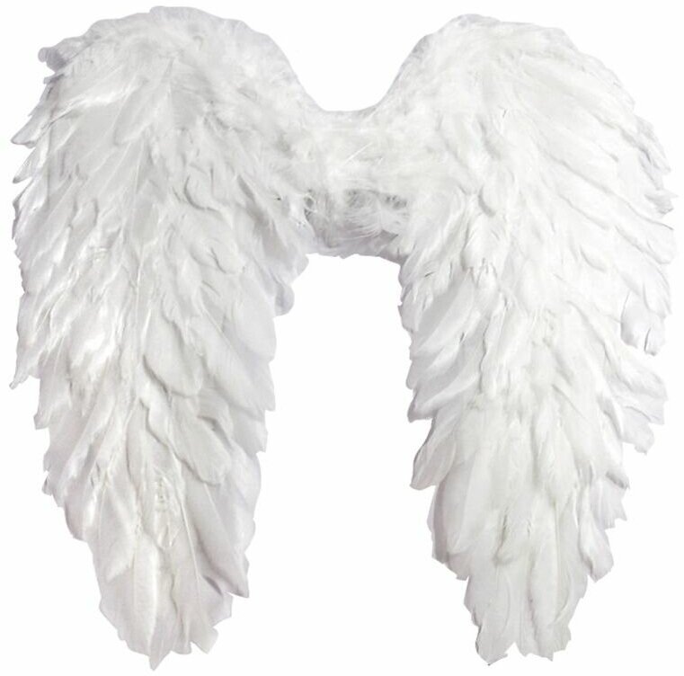 Крылья "Ангел"
