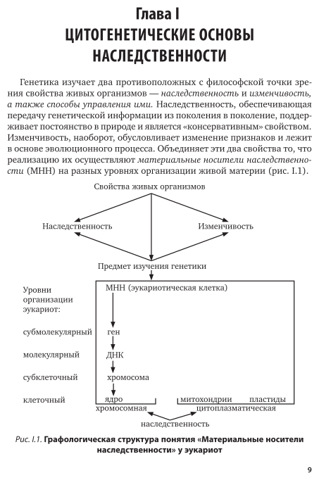 Биология: генетика. Практический курс. Учебное пособие - фото №10