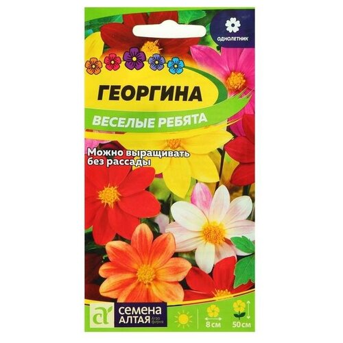 Семена цветов Георгина Веселые Ребята, О, 0,2 г.