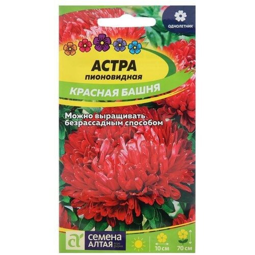 Семена цветов Астра Красная Башня, пионовидная 0,2 г 14 упаковок