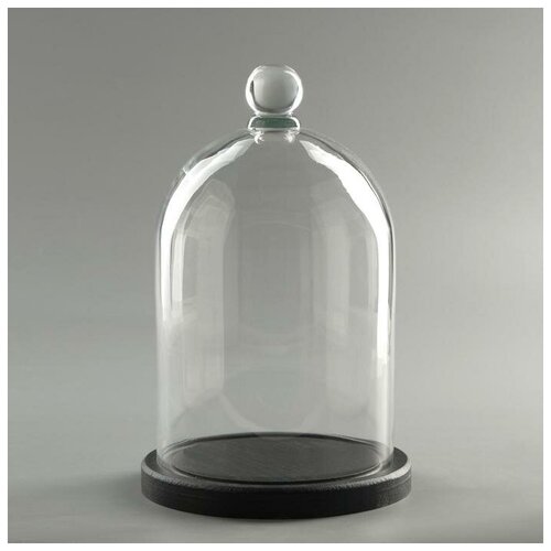 Evis Стеклянный купол-клош с шариком на подставке "Родрик", 26х15 см, стекло, черный