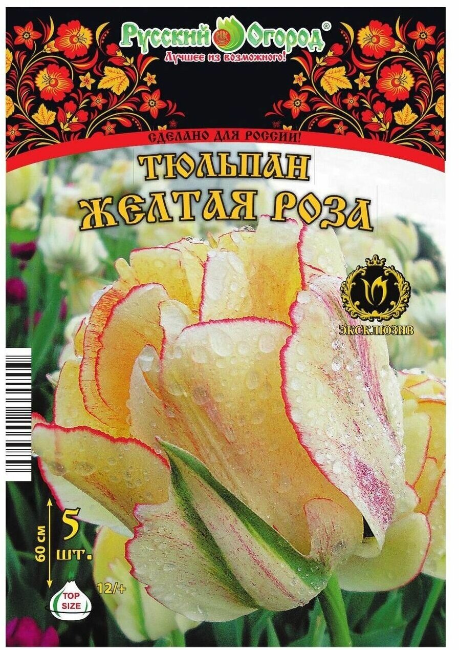 Тюльпан Желтая Роза 5 луковиц 12/+ - фотография № 2