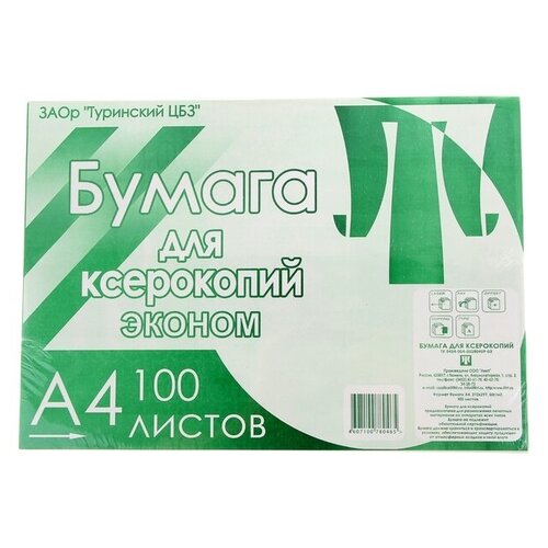 Бумага А4, 100 листов Туринск для ксерокопий эконом, 80г/м2, белизна 96%, в т/у плёнке (цена за 100 листов)