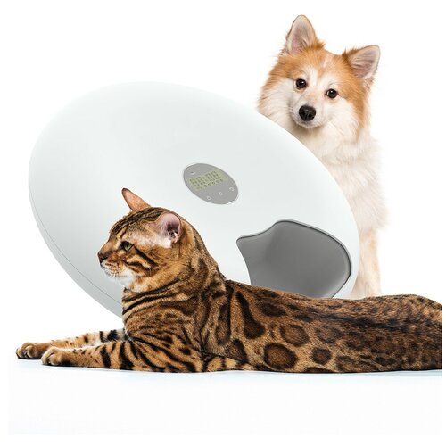 Автоматическая кормушка Petsy Zoowell petFeed6/pink