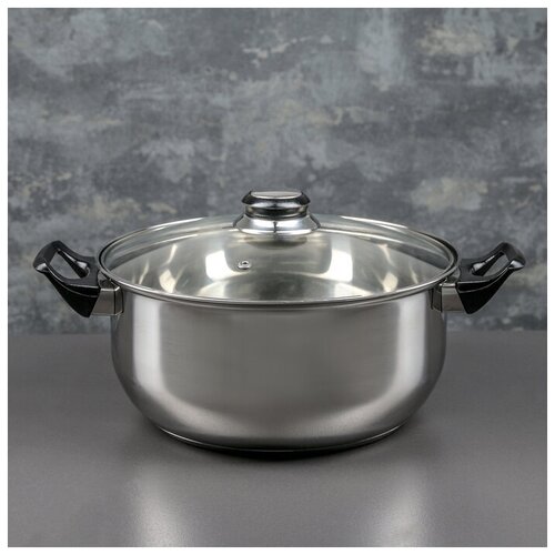 Кастрюля из нержавеющей стали Astell, 4,8 л, d=24