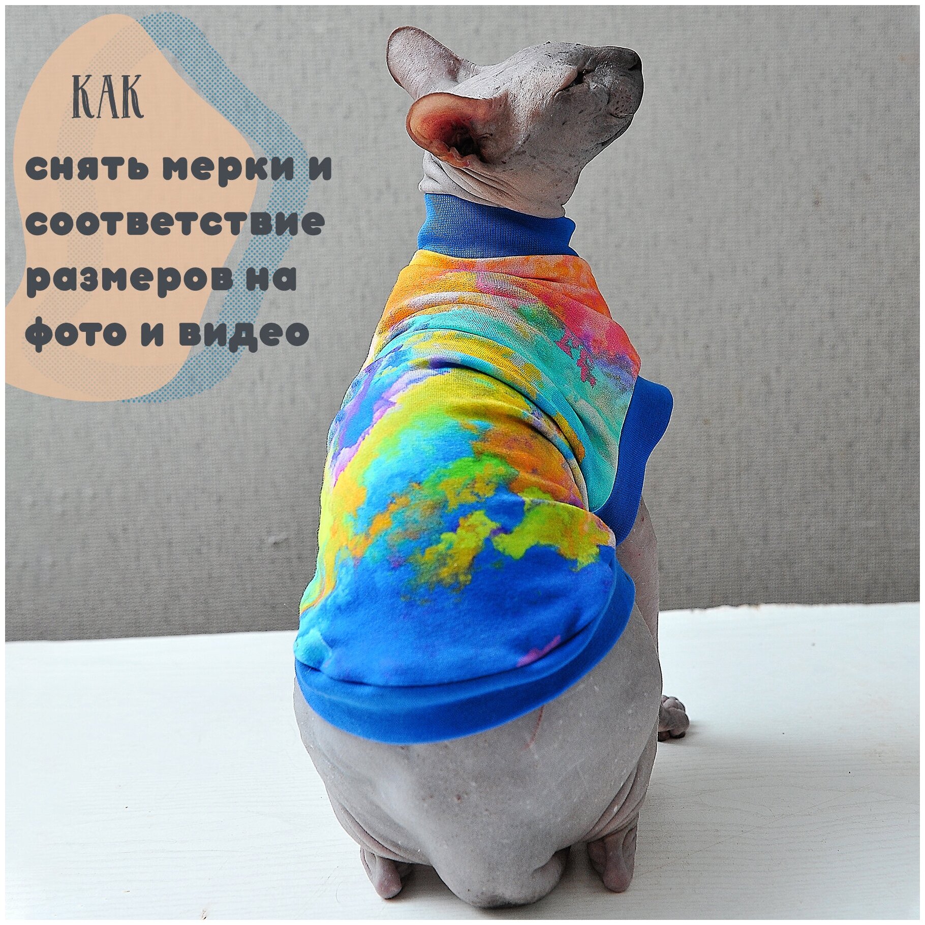 Одежда для кошек, котов и маленьких собачек - стильная майка с рисунком Фестиваль красок, подходит для сфинксов - фотография № 7