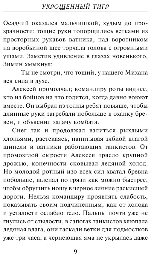 Укрощенный тигр (Зверев Сергей Иванович) - фото №10