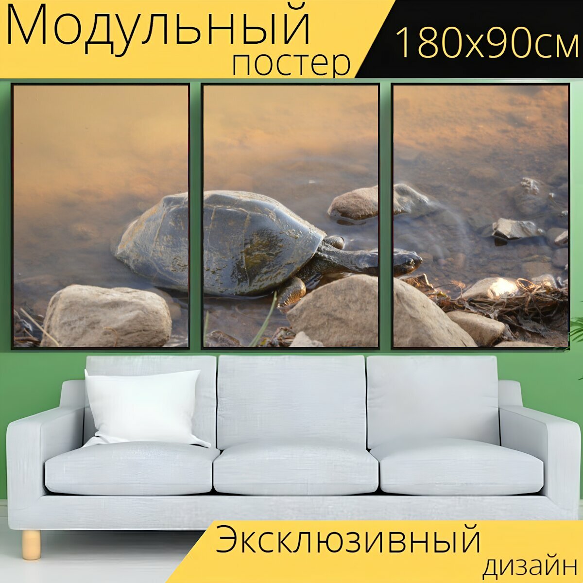 Модульный постер "Черепаха, дикие, природа" 180 x 90 см. для интерьера