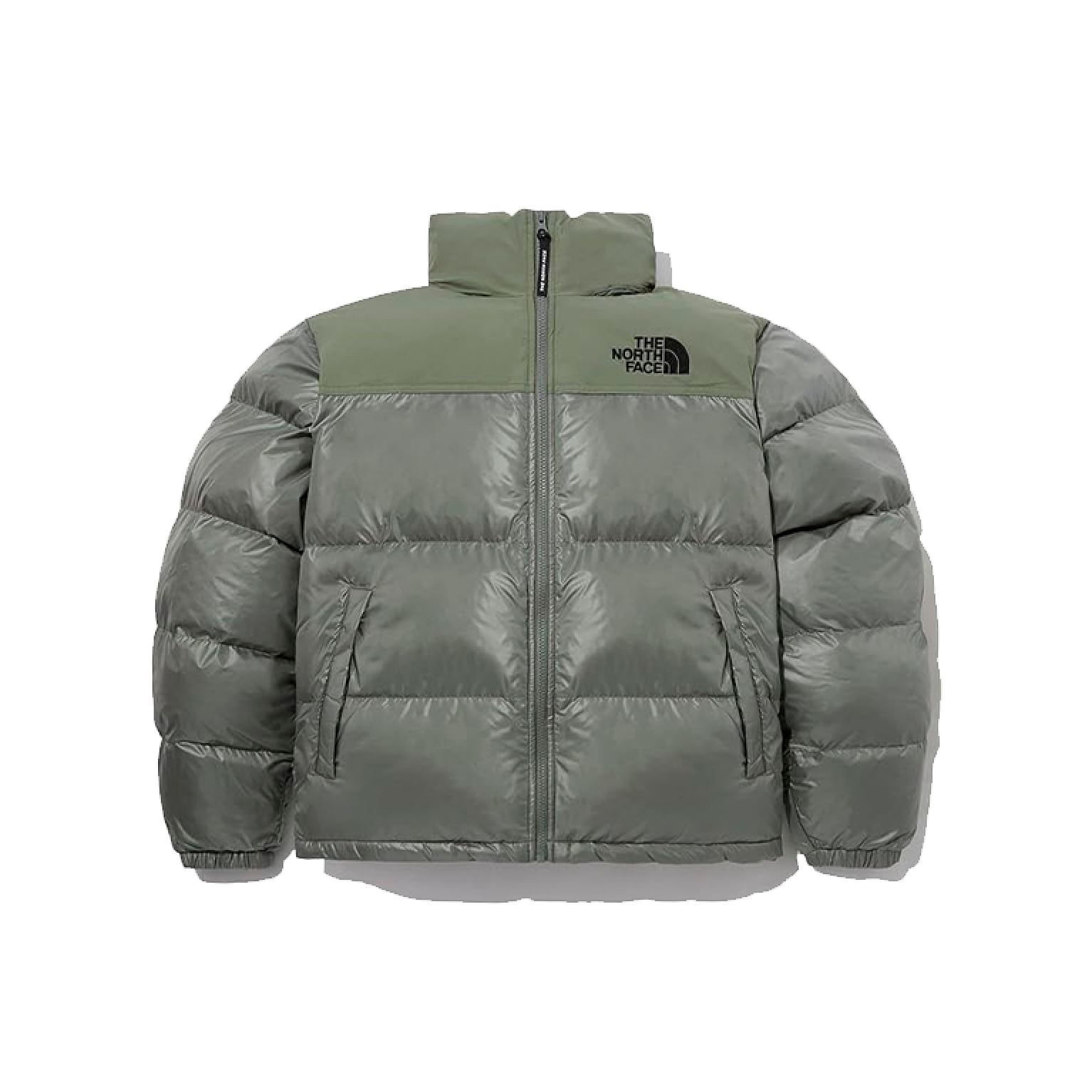 Куртка спортивная The North Face Nuptse On Ball Jacket