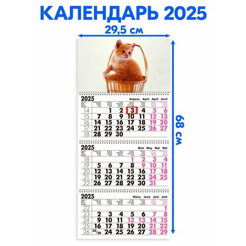 Календарь 2025 настенный трехблочный Рыжий Котенок В Корзинке. Длина календаря в развёрнутом виде - 68 см, ширина - 29,5 см. с ндс календарь квартальный трехблочный успенский собор длина календаря в развёрнутом виде 68 см ширина 29 5 см