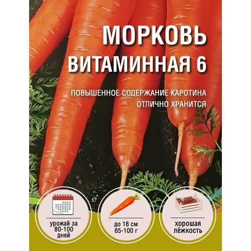 Морковь Витаминная 6 (1 пакет по 2гр) морковь витаминная 6 2 пакета по 2гр