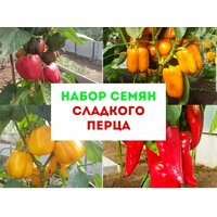 Набор семян томатов и перцев порадуют дачников отличным урожаем. Семена выращены в экологическом чистом районе на  ...