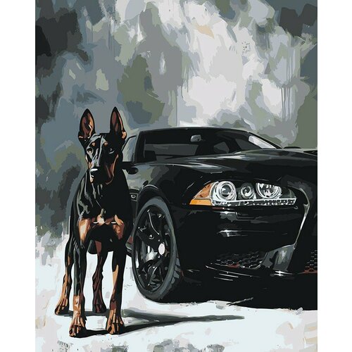 Картина по номерам Машина BMW и собака доберман арт 40х50