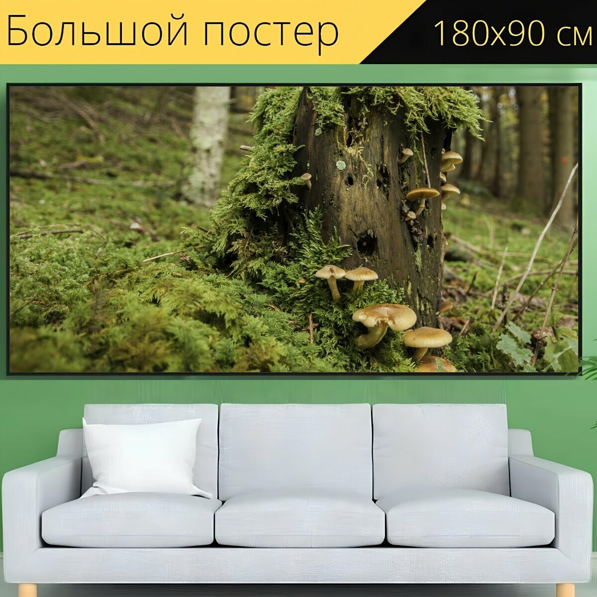 Большой постер "Лес, дерево грибов, ствол дерева" 180 x 90 см. для интерьера