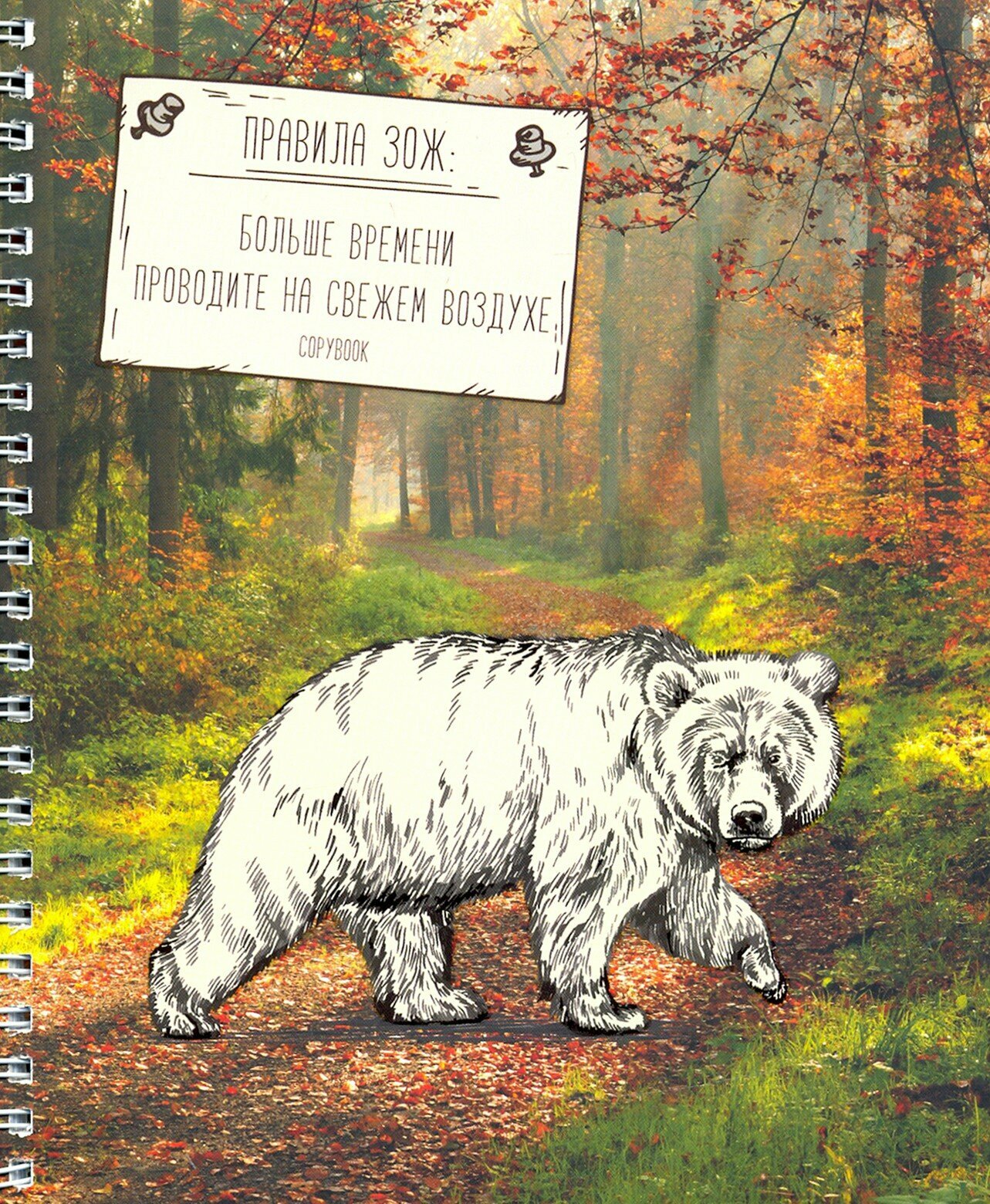 Тетрадь "Правила ЗОЖ", на гребне, А5, 48 листов, в ассортименте (ТСЛ487251)