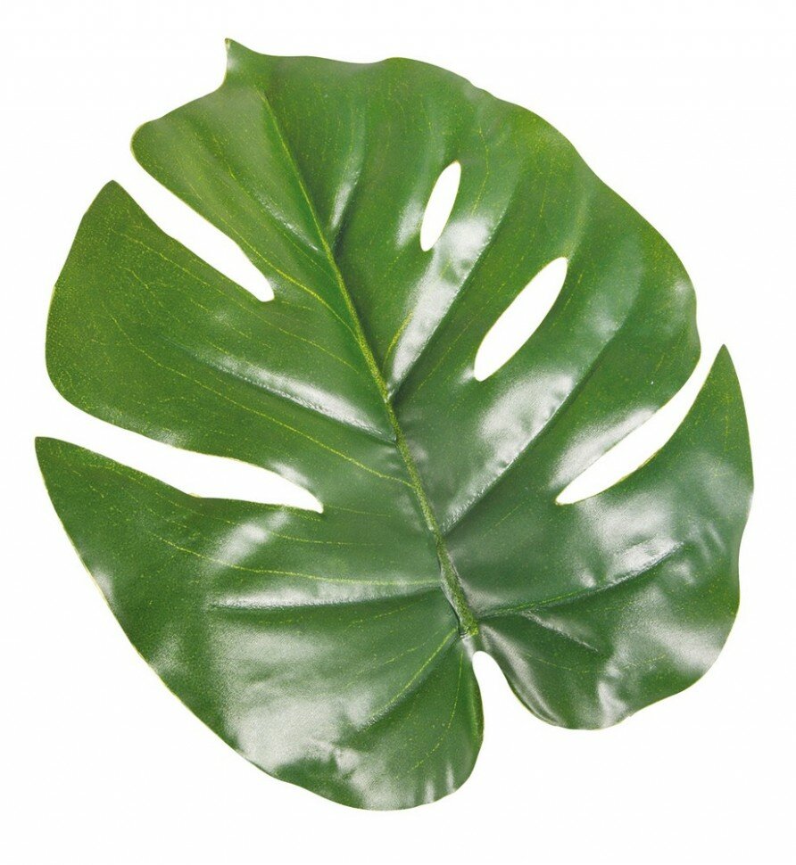 Rayher 55855000 Декоративный лист 