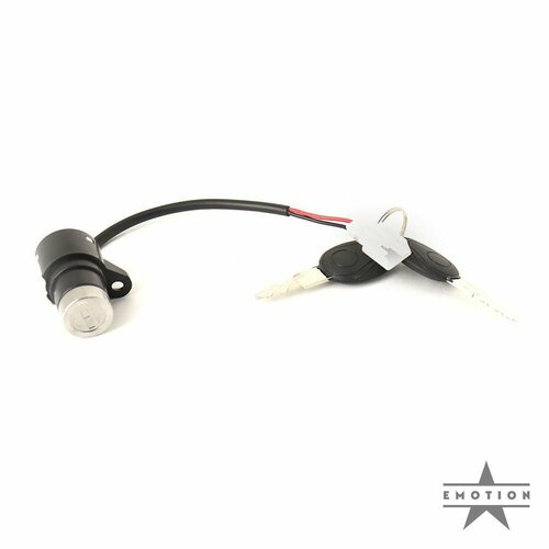 Личинка в замок зажигания для электросамоката с вольтметром два ключа провод 10 см 951₽